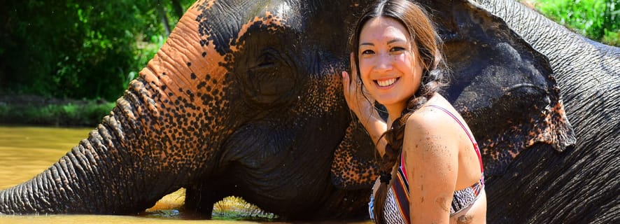 Phuket: tour del programma Elephant Save & Care