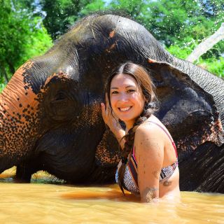 Phuket: tour del programma Elephant Save & Care