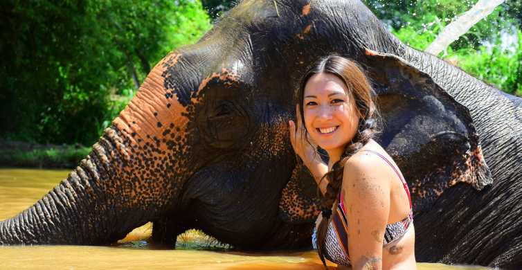 Phuket Elephant Save & Care Program Tour GetYourGuide