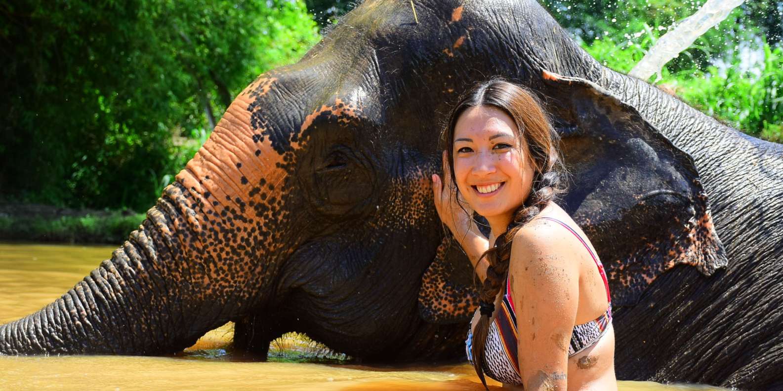 Phuket: Elephant Save & Care Program Tour | GetYourGuide