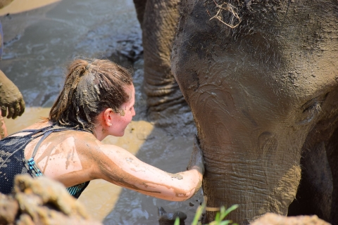 Phuket: Elephant Save & Care-programma Tour met kleine groepen