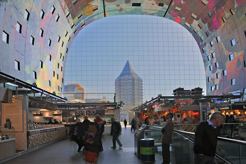 Rotterdam: Private Fahrradtour mit einem Guide