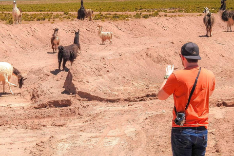 Desde La Paz: Excursión de 5 días al Salar de Uyuni