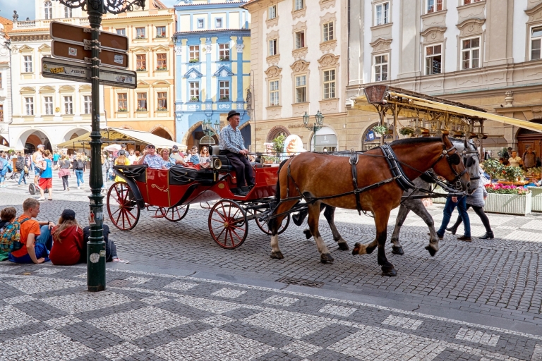Prague : château, quartier juif, croisière et déjeunerVisite de groupe en anglais