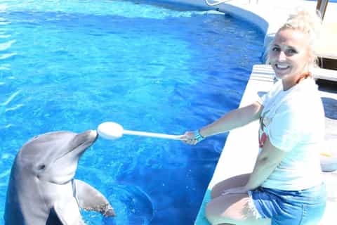 Gulf World Marine Park: Dolphin Meet and Greet