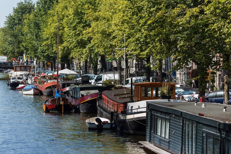 Amsterdam: Prywatna alternatywna wycieczka piesza
