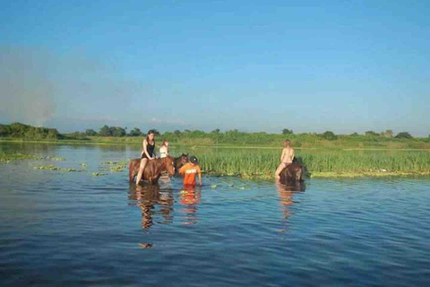 From Huatulco: Beach Horseback Riding Experience Regular Beach Horseback Riding Tour (2 hours)