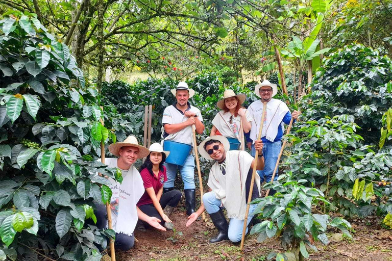 FROM BOGOTA: Coffee Tour in Choachí, An Authentic and Aromatic Adventure.