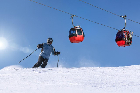 Journée de safari à ski privé avec transport