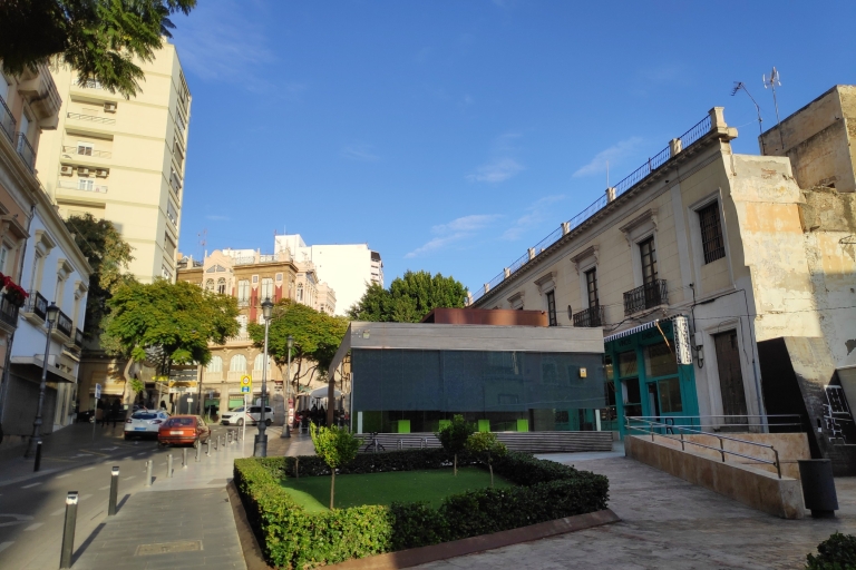 Almería: bezoek aan de schuilplaatsen van de Spaanse BurgeroorlogRondleiding in het Spaans