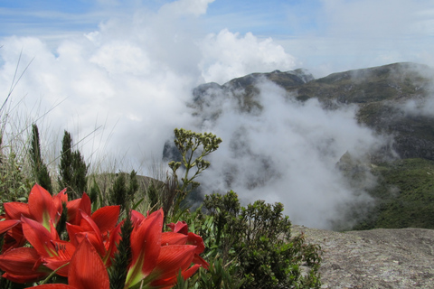 Pedra do Sino trekking - full dayFrom Rio de Janeiro: Full-Day Trek to Pedra do Sino