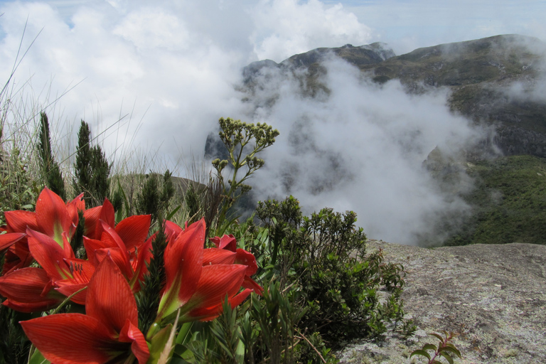 Pedra do Sino trekking - full dayFrom Rio de Janeiro: Full-Day Trek to Pedra do Sino