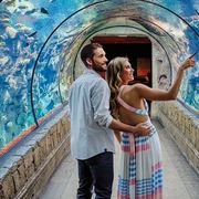 Las Vegas: Shark Reef Aquarium & VR Experience Entry Ticket