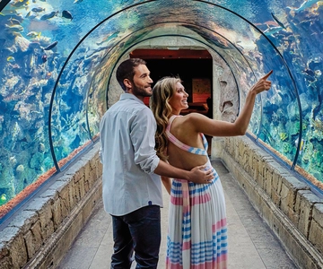 Shark Reef Aquarium & VR Experience Entry Ticket