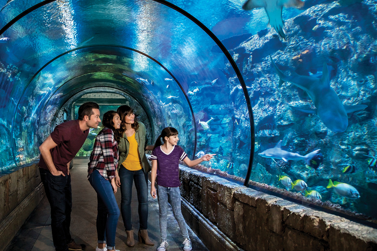 Las Vegas: toegangsticket Shark Reef Aquarium & VR Experience