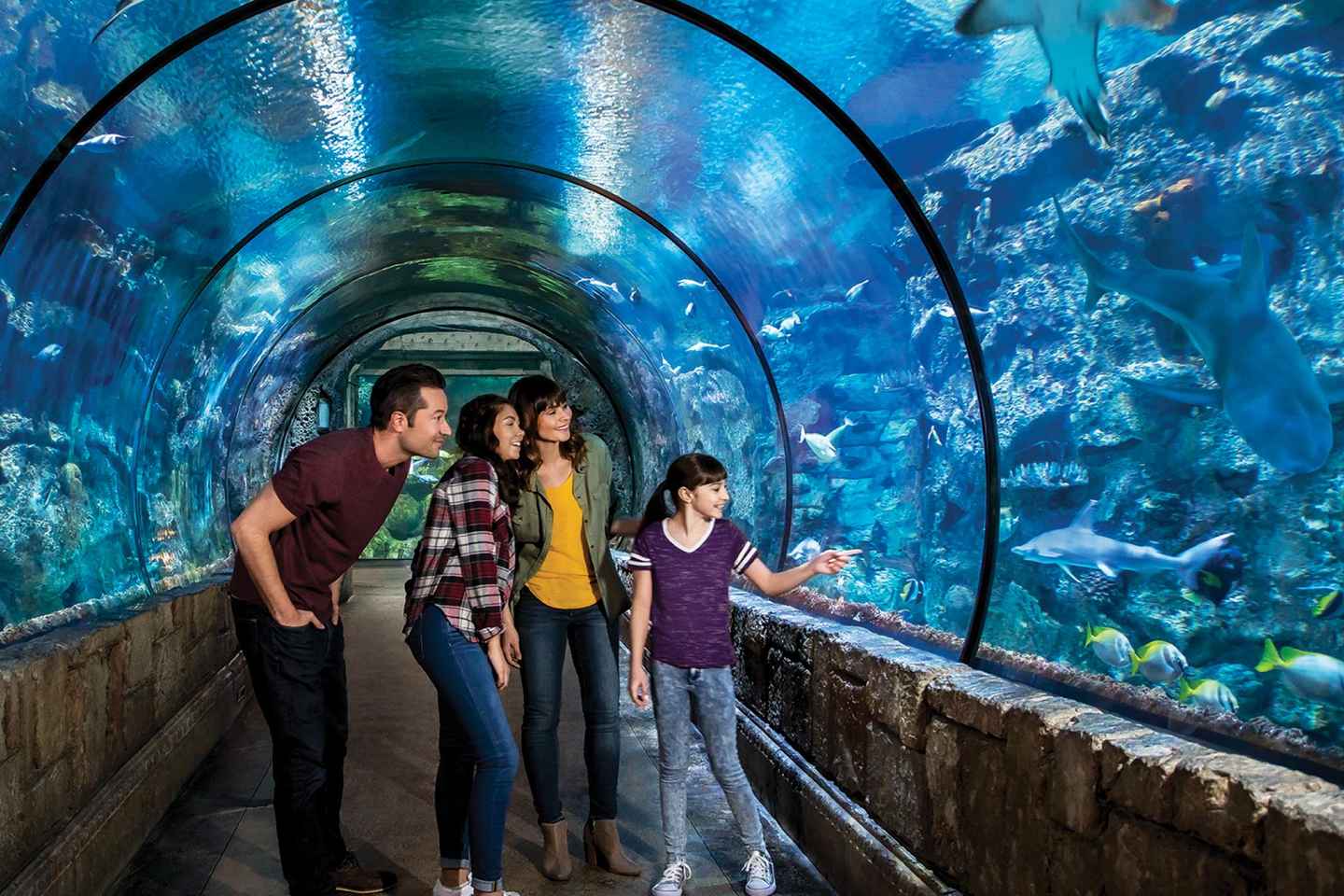 Las Vegas: Shark Reef Aquarium Entry Ticket - Shark Reef Aquarium: Timed Entry Ticket