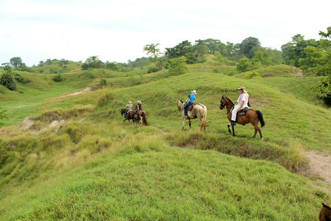 From Medellin; (All-In) The Real Horseback Ranch ExperienceMedellin Departure; Authentic Colombian Ranch Experience