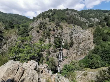 Aspromonte National Park: Private Wanderung zu den Maesano Wasserfällen