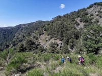 Parque Nacional Aspromonte, caminata privada a las Cataratas del Maesano - Housity