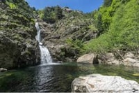 Parque Nacional Aspromonte, caminata privada a las Cataratas del Maesano - Housity