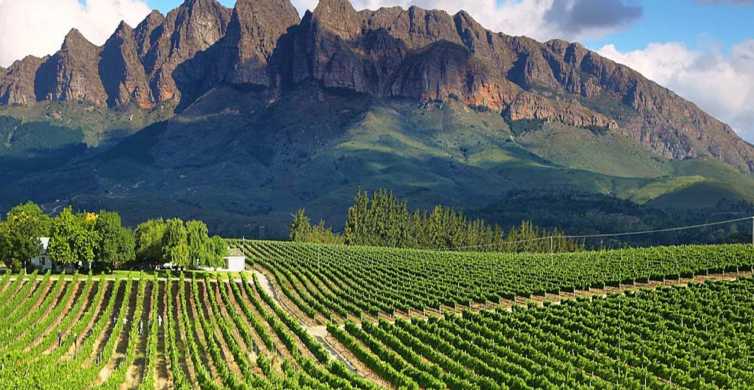 From Cape Town Full Day Winelands Tour GetYourGuide