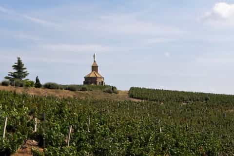 Beaujolais: Half-Day Wine Tour