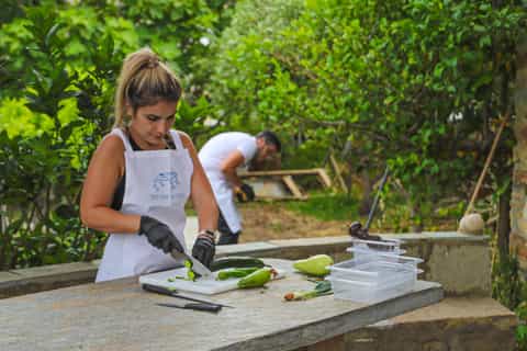 Tinos: aula de culinária da fazenda para a mesa com degustação de vinhos