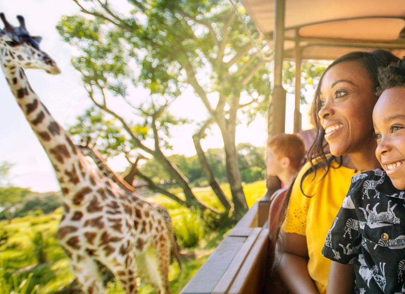 Orlando: Walt Disney World-billet med Park Hopper