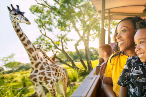 Orlando: Walt Disney World Tickets with Park Hopper Special Offer: 4-Day Park Hopper + 2 Extra Days Free!