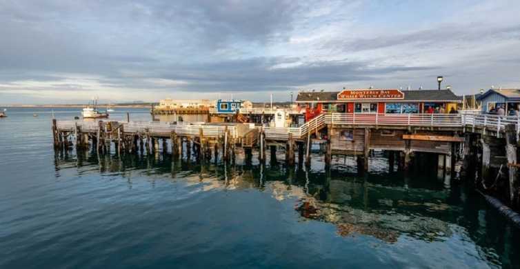 Santa Cruz turismo: Qué visitar en Santa Cruz, California, 2024