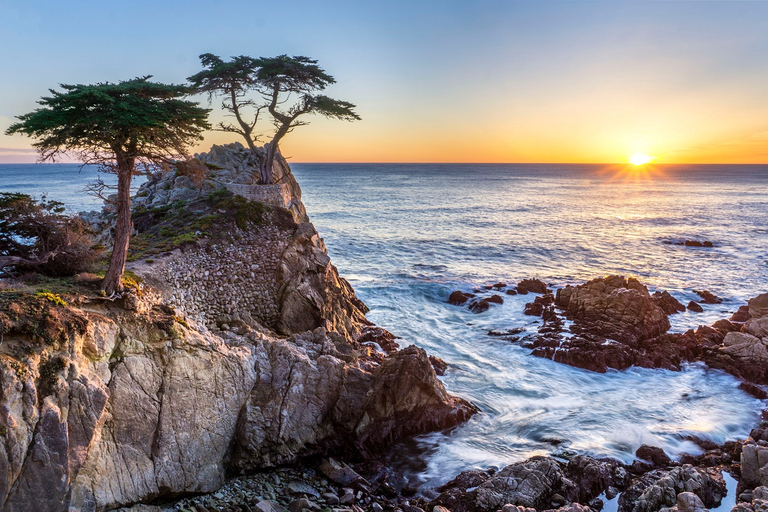 San Francisco: Tour di Monterey e Carmel