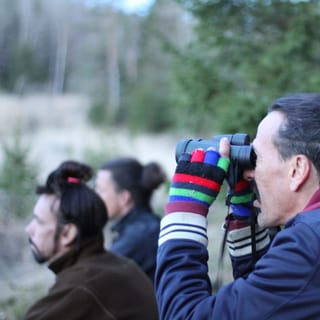 Stockholm: Wildlife Safari