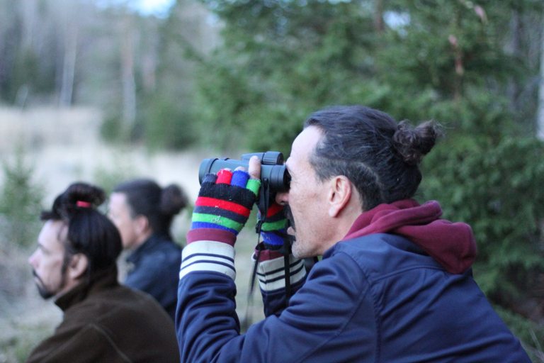 Stoccolma: Safari naturalistico