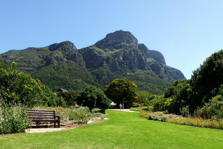 Ab Kapstadt: Geführte Ganztagestour auf der KaphalbinselGruppenreise