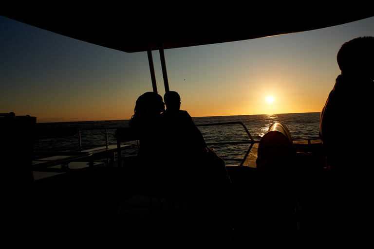 Ciudad del Cabo: crucero de lujo al atardecer de 1,5 horas con vino