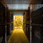 Porto: tour delle cantine Burmester con degustazione
