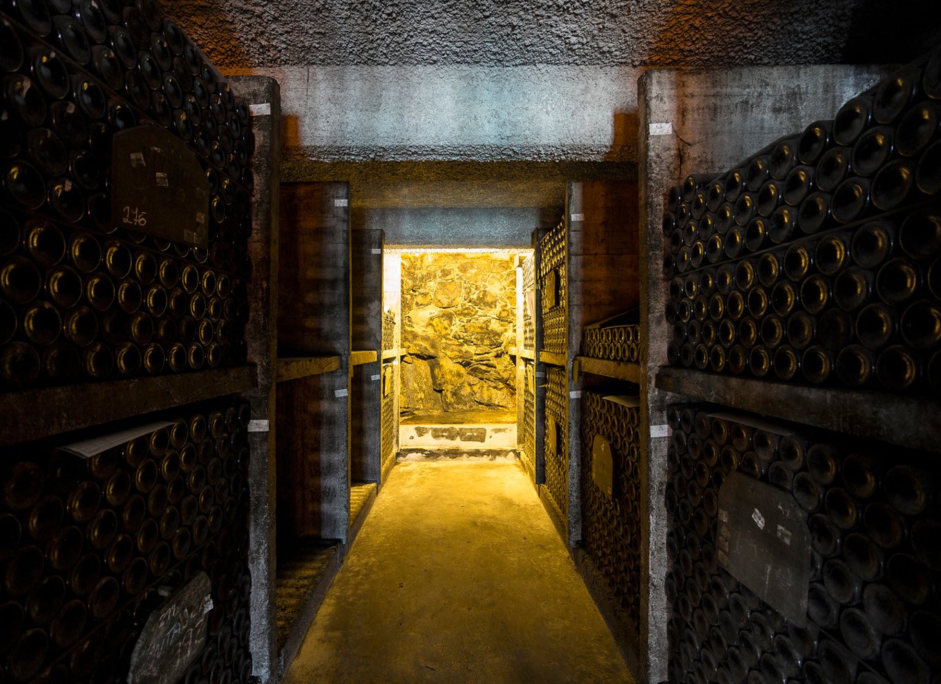 Porto: Burmester Cellar Tour med smag- og parringsmuligheder