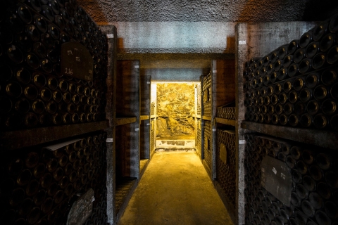 Porto: Burmester Cellar Tour with Tasting & Pairing Options French Guided Tour with Chocolate, Cheese + Wine Tasting