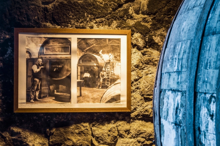 Porto: wycieczka do piwnicy Burmester z opcjami degustacji i parowaniaHiszpańska wycieczka z przewodnikiem ze standardowymi degustacjami