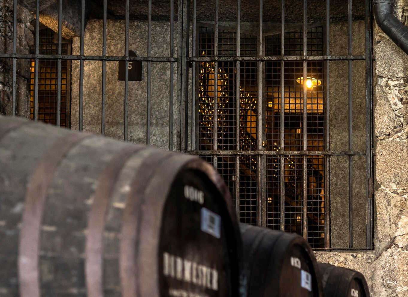 Porto: Burmester Cellar Tour med smag- og parringsmuligheder