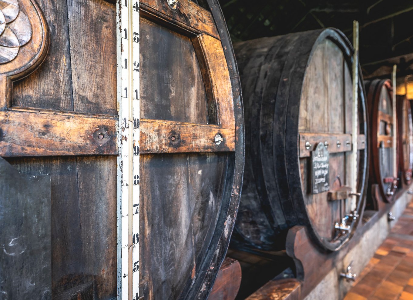 Porto: Burmester Cellar Tour med smag- og parringsmuligheder