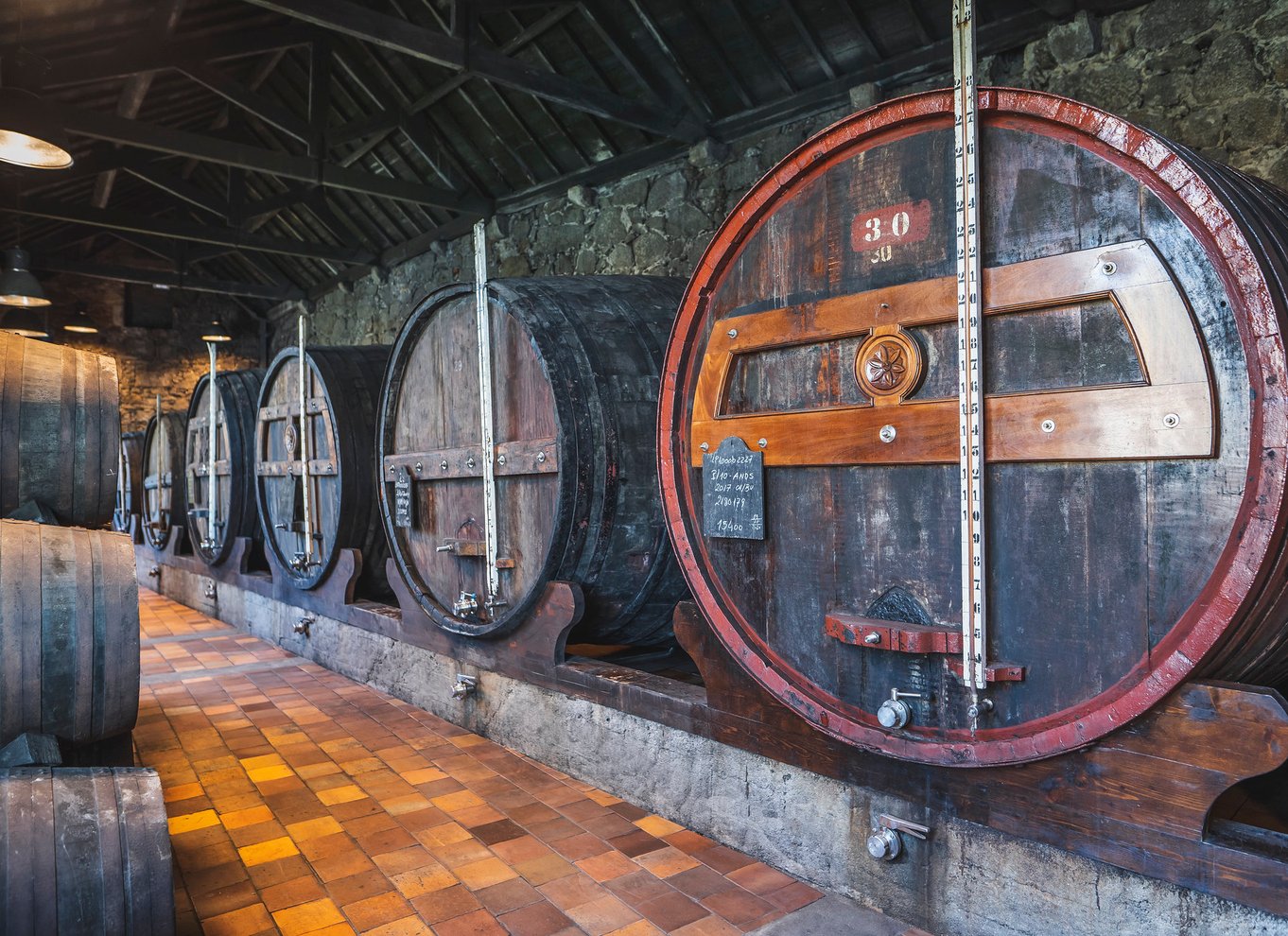 Porto: Burmester Cellar Tour med smag- og parringsmuligheder