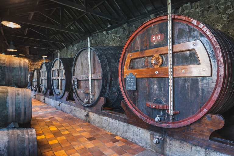 Porto: wycieczka do piwnicy Burmester z opcjami degustacji i parowaniaHiszpańska wycieczka z przewodnikiem ze standardowymi degustacjami