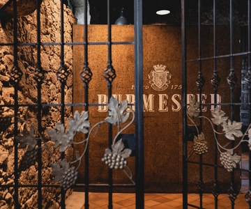 Porto: Burmester Cellar Tour with Tasting & Pairing Options