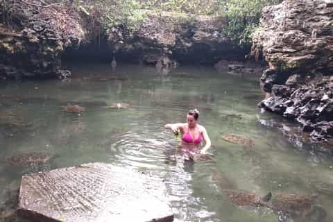 Zanzibar: Jozani Forest, Local Zoo and Swimming with Turtles