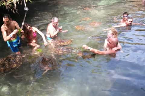 Zanzibar: Jozani Forest, Local Zoo and Swimming with Turtles