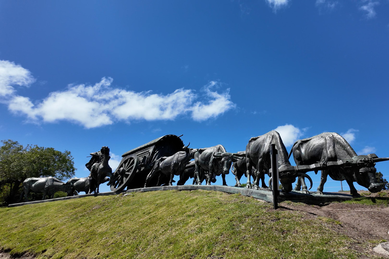 Montevideo: 3.5-Hour Private City Tour with a Local Guide and Stops