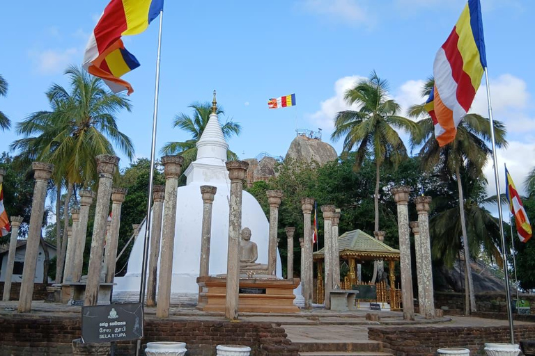 From Colombo/Negombo to Anuradhapura Day Tour with Mihintale
