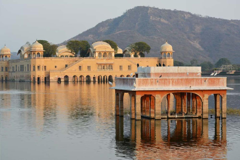 From Delhi: Private Jaipur & Amber Fort Guided Tour by Car Car with Driver, Tour Guide, Monument Fees, and Lunch