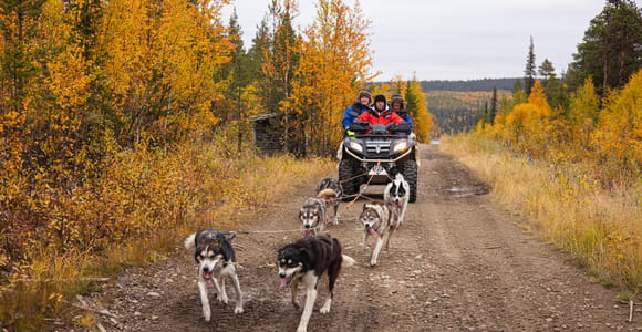 Kiruna: ATV Tour with dogs